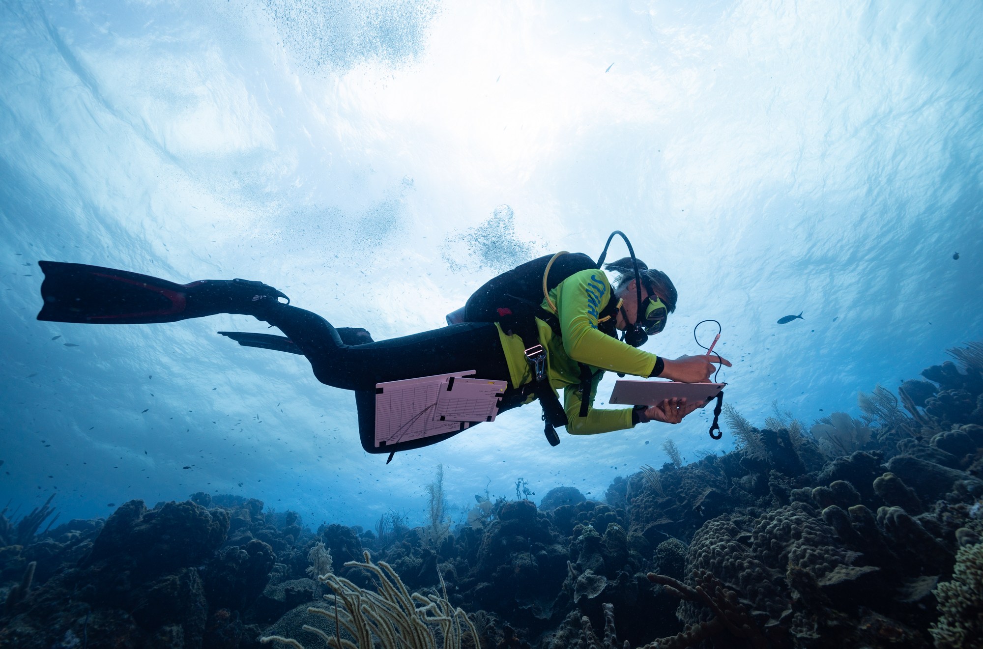 Daniel de Coeur, an ecologist with an environmental group on Bonaire, surveys coral reefs.