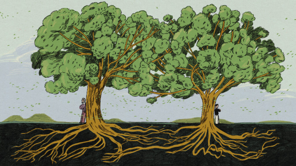 Illustration of two trees connected at the base and top with a person standing on each tree